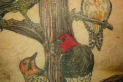 Steve's Tattoos