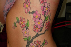 Steve's Tattoos