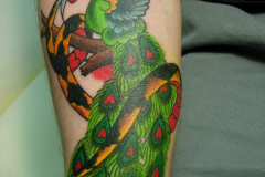 Steve's Tattoos