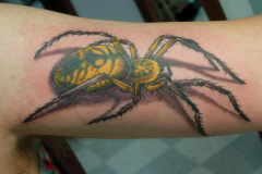 Steve's Tattoos